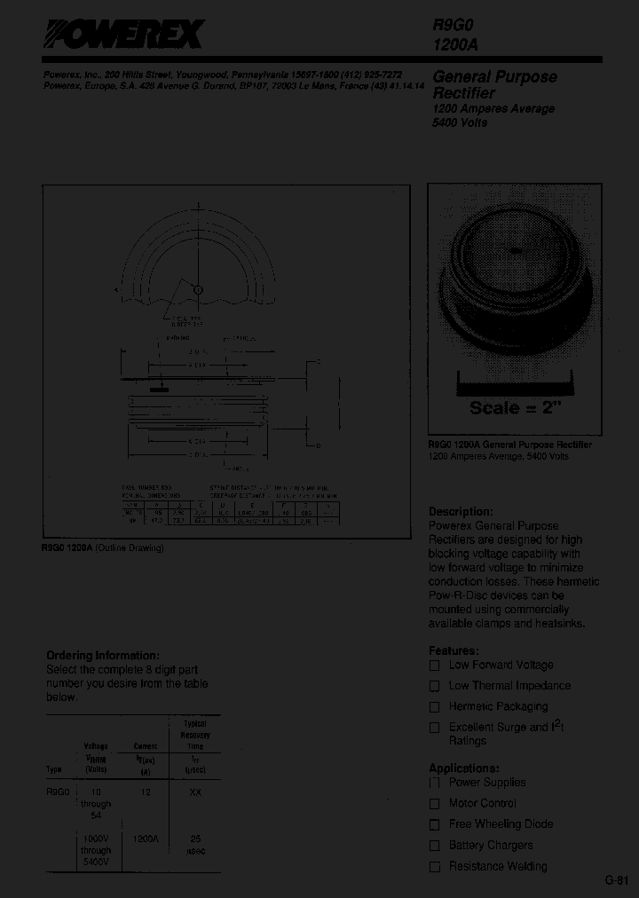 R9G01200A_493948.PDF Datasheet