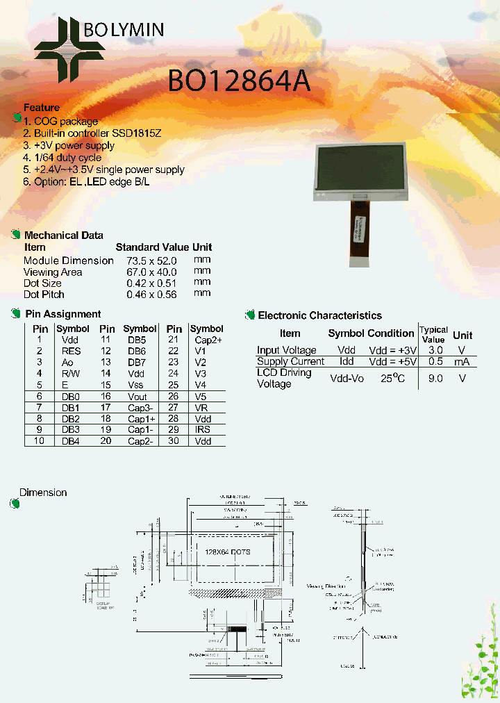 BO12864A_1095466.PDF Datasheet
