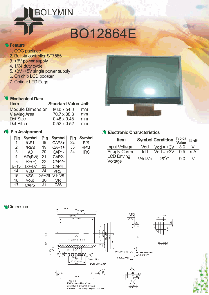 BO12864E_1095469.PDF Datasheet