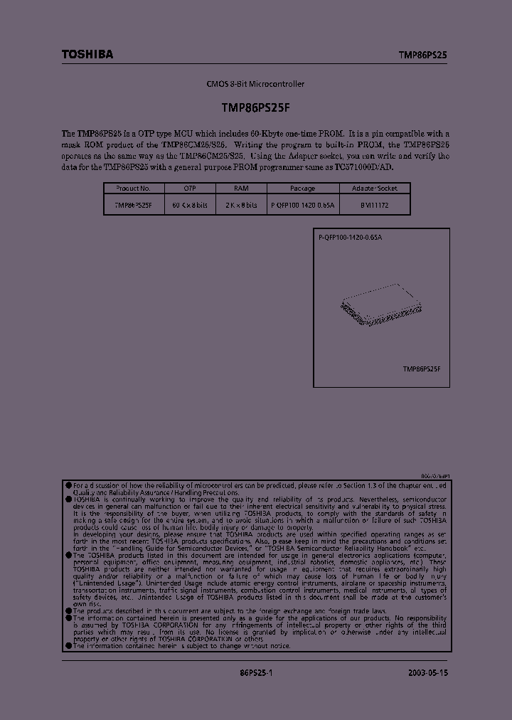 E03051586PS25SUMMARY_979502.PDF Datasheet