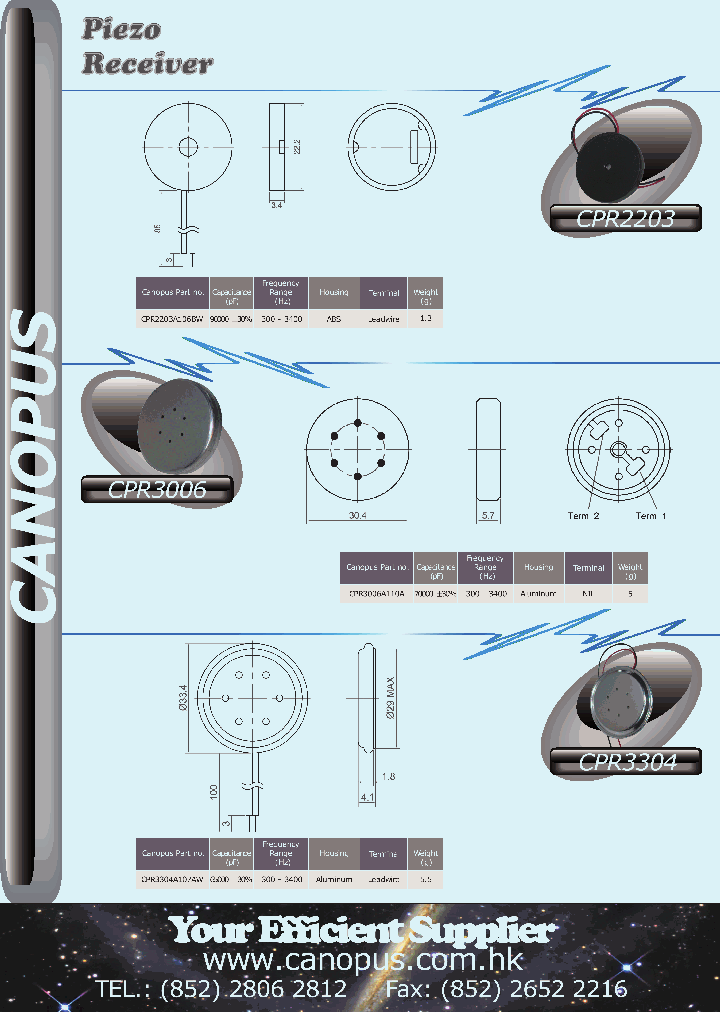 CPR3006_3501922.PDF Datasheet