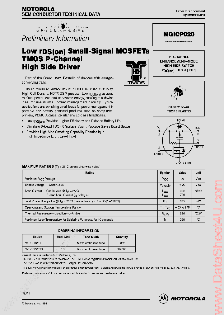 MGICP020_6297932.PDF Datasheet