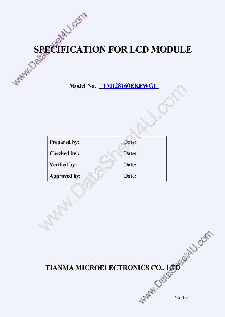 TM128160EKFWG1_6938594.PDF Datasheet