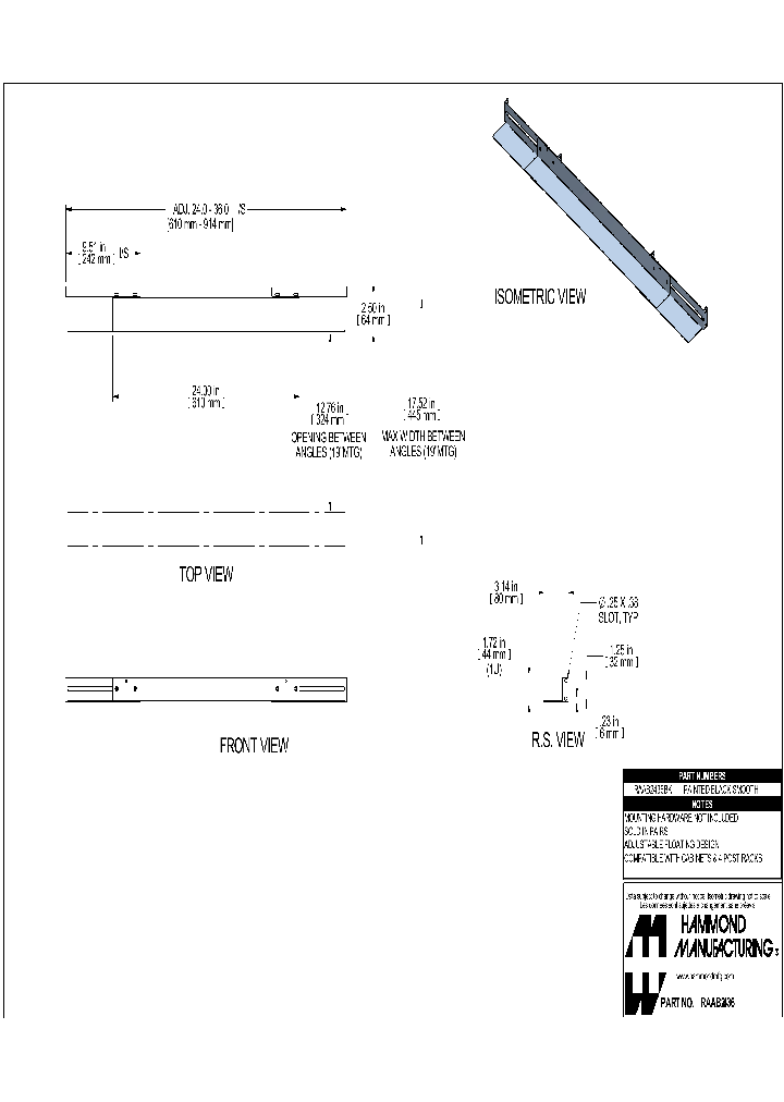 RAAB2436_7607145.PDF Datasheet