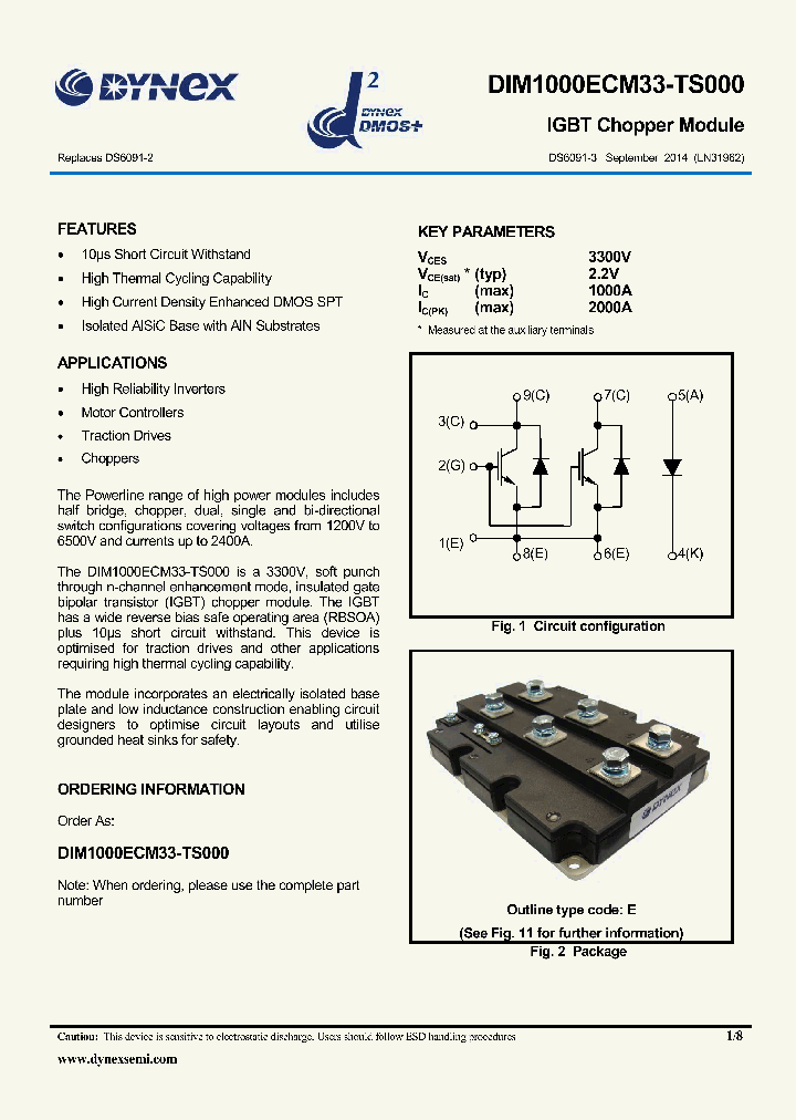 DIM1000ECM33-TS000_8312768.PDF Datasheet